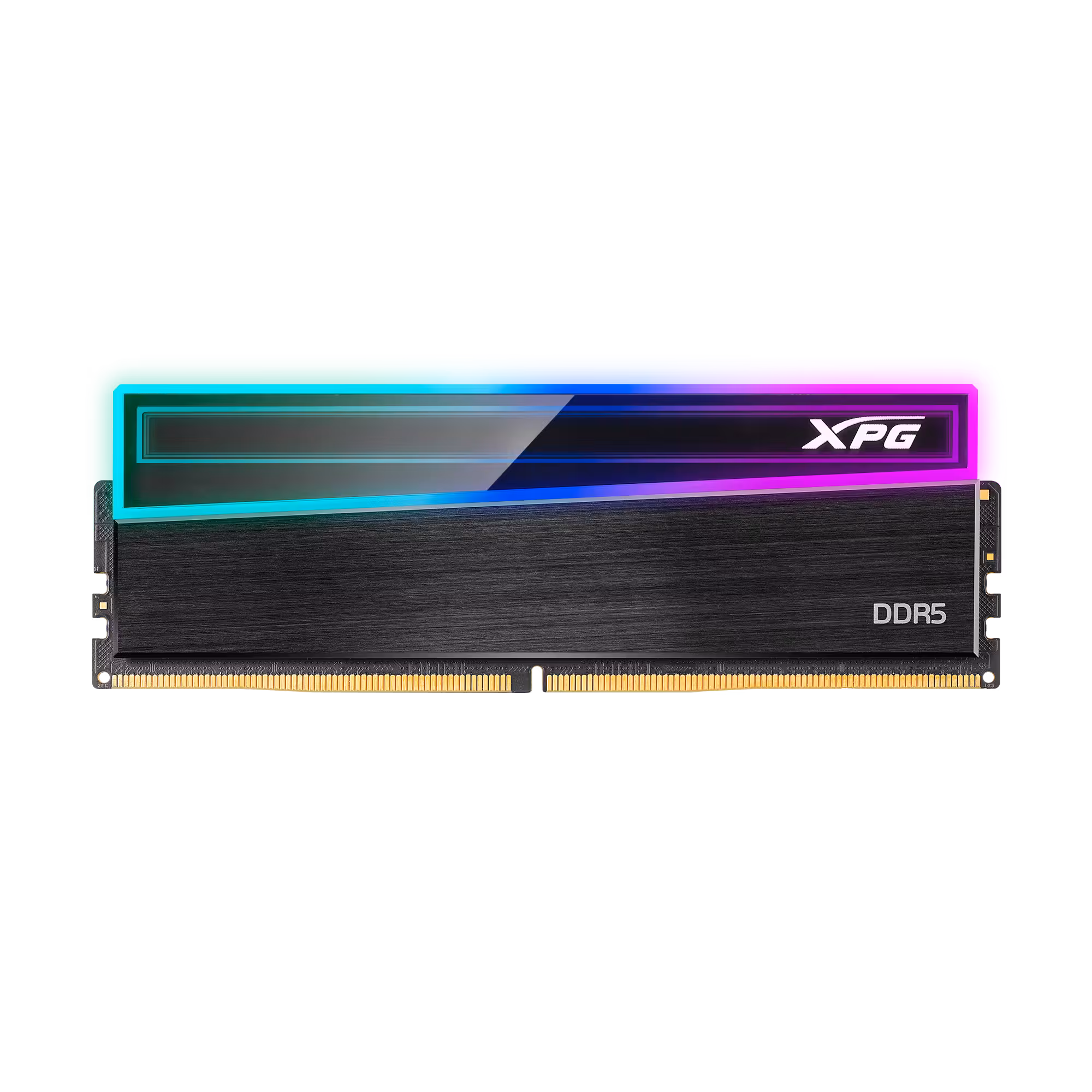 MEMORIA RAM ADATA XPG 16GB DDR5 5600 MHZ NOVAKEY RGB